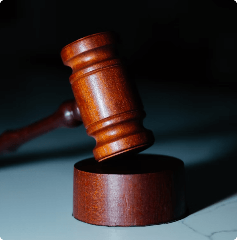 Imagen del servicio de litigio